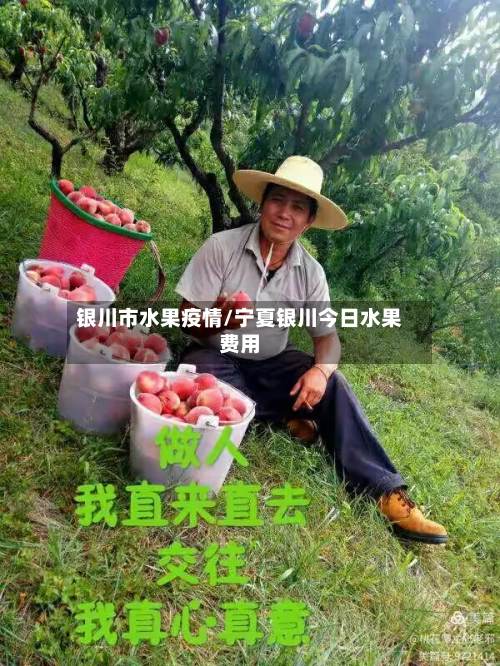 银川市水果疫情/宁夏银川今日水果费用-第2张图片