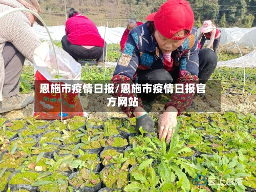恩施市疫情日报/恩施市疫情日报官方网站