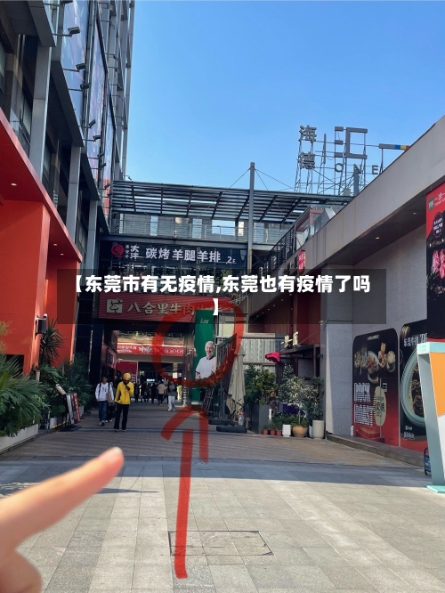 【东莞市有无疫情,东莞也有疫情了吗】-第2张图片