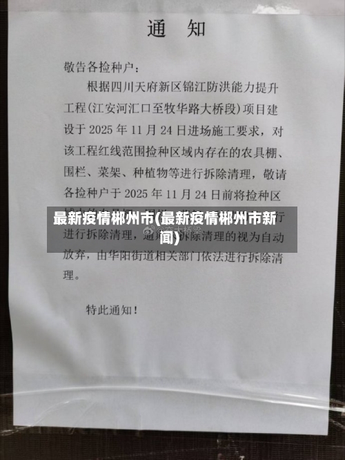 最新疫情郴州市(最新疫情郴州市新闻)-第3张图片