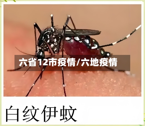 六省12市疫情/六地疫情