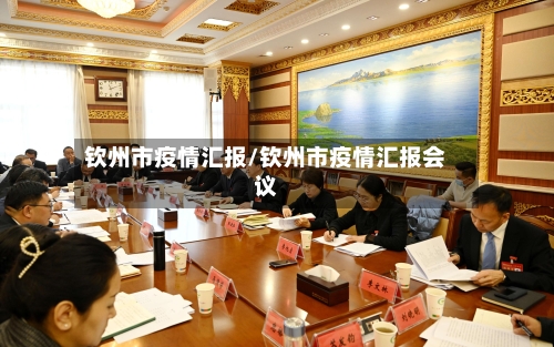 钦州市疫情汇报/钦州市疫情汇报会议-第2张图片