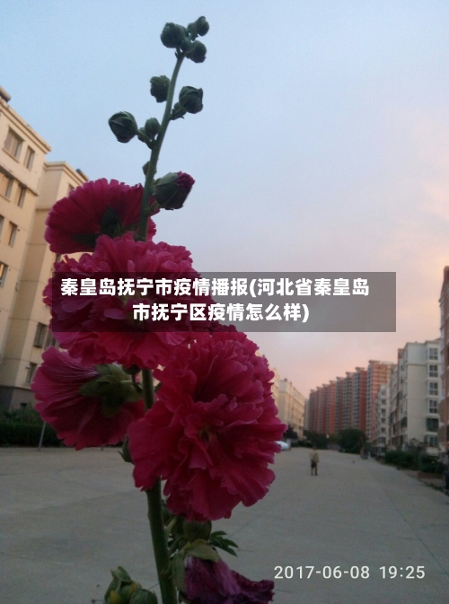 秦皇岛抚宁市疫情播报(河北省秦皇岛市抚宁区疫情怎么样)