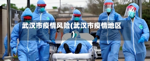 武汉市疫情风险(武汉市疫情地区)-第2张图片