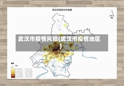武汉市疫情风险(武汉市疫情地区)-第3张图片