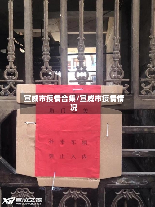 宣威市疫情合集/宣威市疫情情况-第3张图片