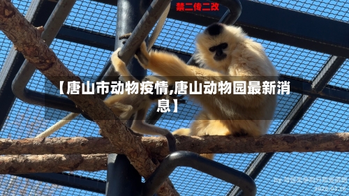 【唐山市动物疫情,唐山动物园最新消息】
