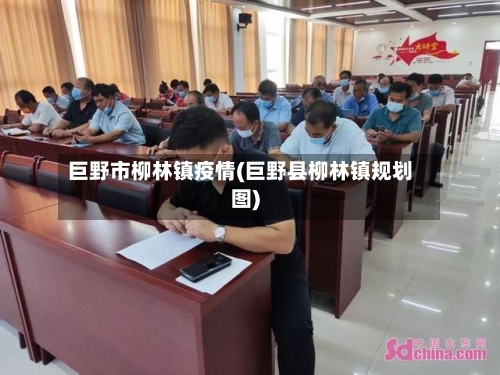 巨野市柳林镇疫情(巨野县柳林镇规划图)-第2张图片