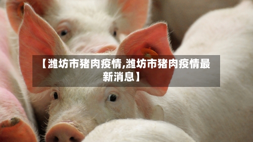 【潍坊市猪肉疫情,潍坊市猪肉疫情最新消息】