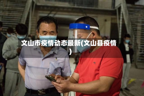 文山市疫情动态最新(文山县疫情)-第2张图片