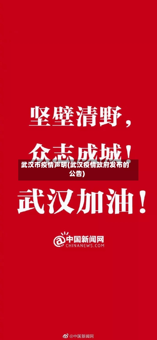 武汉市疫情声明(武汉疫情政府发布的公告)