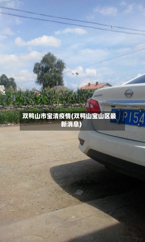 双鸭山市宝清疫情(双鸭山宝山区最新消息)