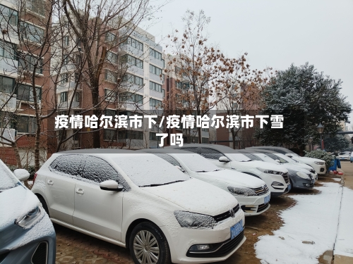 疫情哈尔滨市下/疫情哈尔滨市下雪了吗