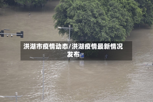 洪湖市疫情动态/洪湖疫情最新情况发布