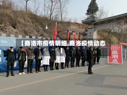 【商洛市疫情明细,商洛疫情动态】-第3张图片