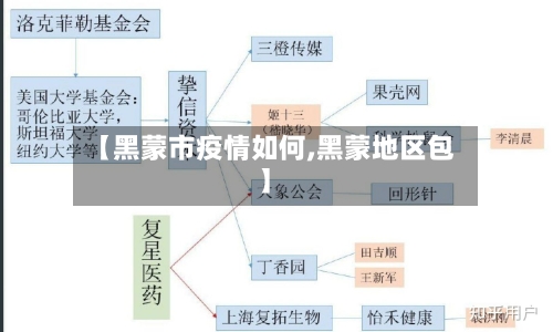 【黑蒙市疫情如何,黑蒙地区包】