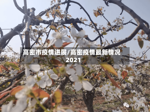 高密市疫情进展/高密疫情最新情况2021
