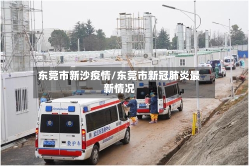 东莞市新沙疫情/东莞市新冠肺炎最新情况-第2张图片