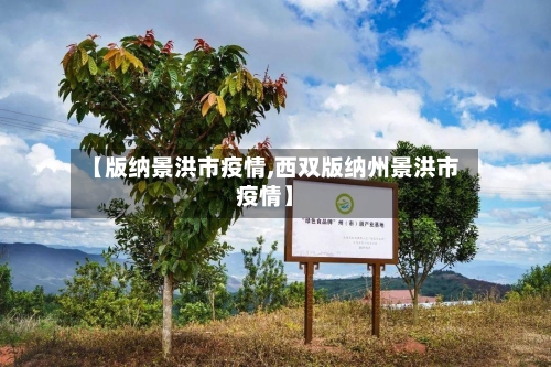 【版纳景洪市疫情,西双版纳州景洪市疫情】