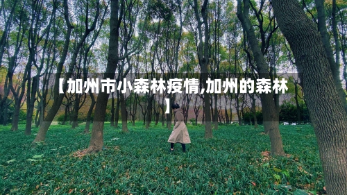 【加州市小森林疫情,加州的森林】