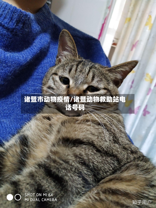 诸暨市动物疫情/诸暨动物救助站电话号码