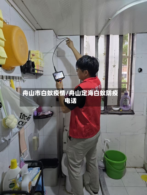 舟山市白蚁疫情/舟山定海白蚁防疫电话-第2张图片