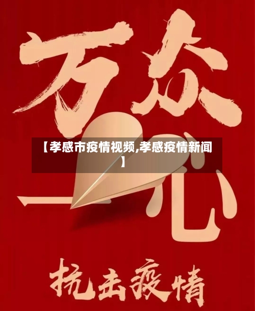 【孝感市疫情视频,孝感疫情新闻】-第2张图片