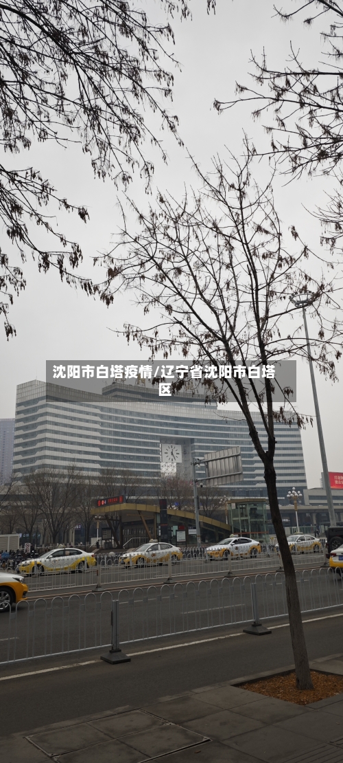 沈阳市白塔疫情/辽宁省沈阳市白塔区