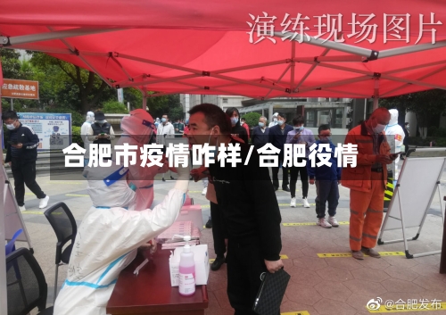 合肥市疫情咋样/合肥役情