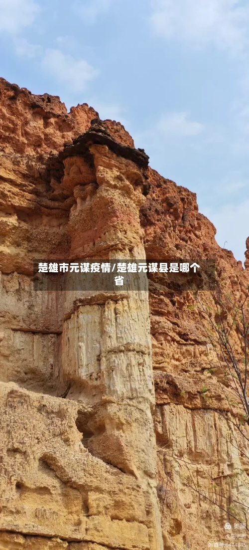 楚雄市元谋疫情/楚雄元谋县是哪个省