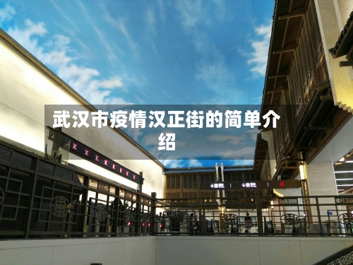 武汉市疫情汉正街的简单介绍-第2张图片