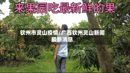 钦州市灵山疫情/广西钦州灵山新闻最新消息