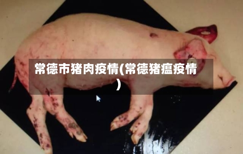 常德市猪肉疫情(常德猪瘟疫情)-第2张图片