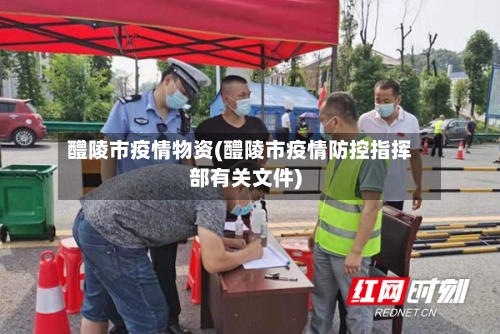 醴陵市疫情物资(醴陵市疫情防控指挥部有关文件)-第2张图片