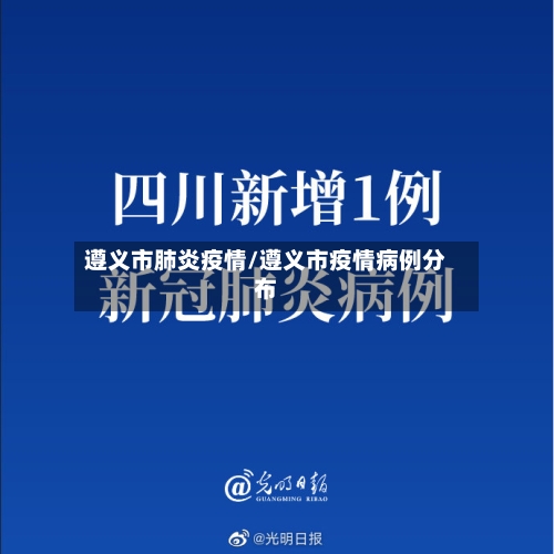 遵义市肺炎疫情/遵义市疫情病例分布-第2张图片