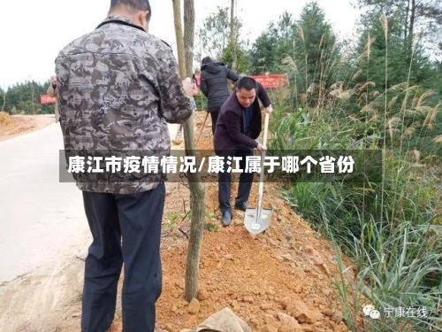 康江市疫情情况/康江属于哪个省份-第2张图片