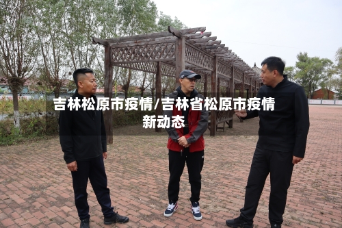 吉林松原市疫情/吉林省松原市疫情新动态-第2张图片