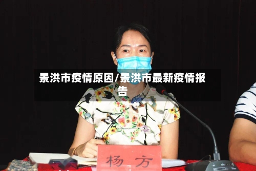 景洪市疫情原因/景洪市最新疫情报告-第2张图片