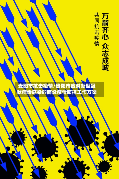 贵阳市抗击疫情/贵阳市应对新型冠状病毒感染的肺炎疫情防控工作方案-第2张图片