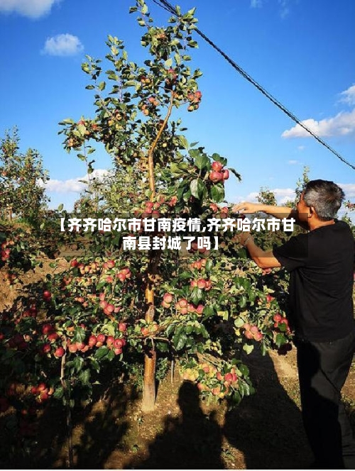 【齐齐哈尔市甘南疫情,齐齐哈尔市甘南县封城了吗】