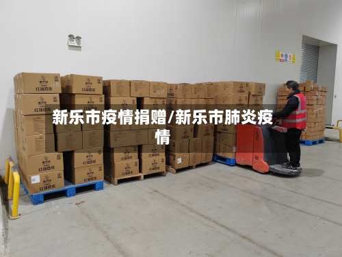 新乐市疫情捐赠/新乐市肺炎疫情-第2张图片