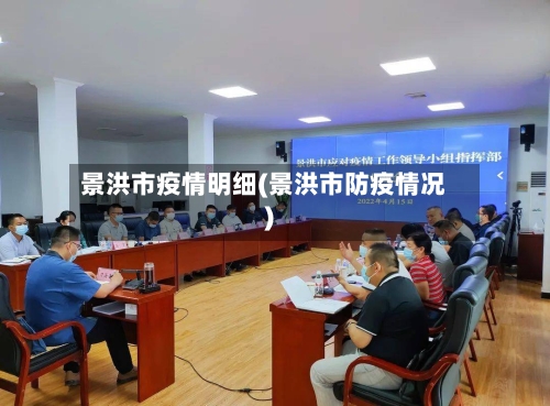 景洪市疫情明细(景洪市防疫情况)-第2张图片