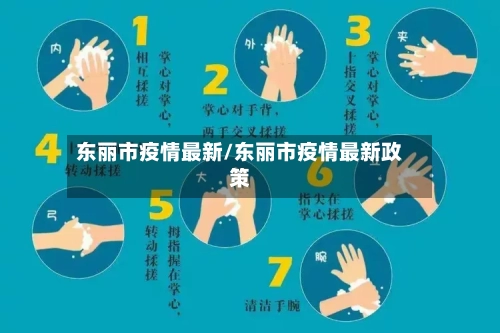 东丽市疫情最新/东丽市疫情最新政策-第2张图片