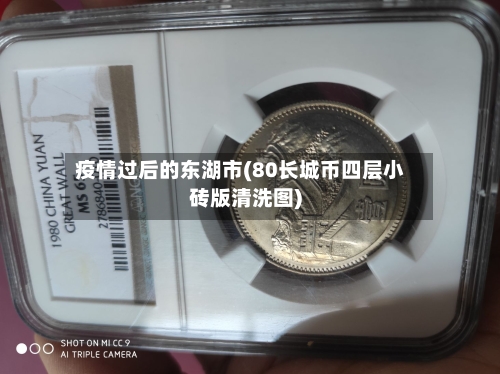 疫情过后的东湖市(80长城币四层小砖版清洗图)