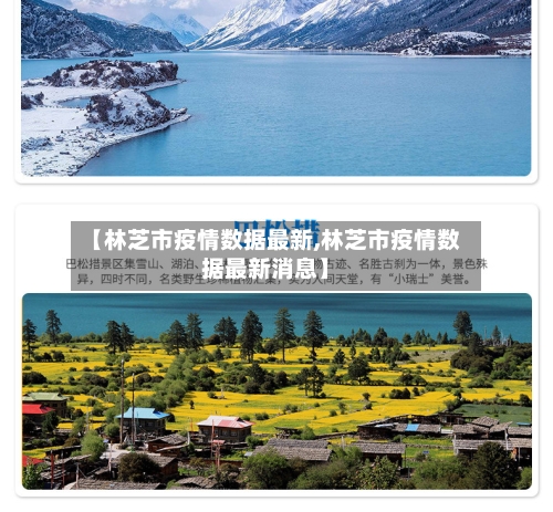 【林芝市疫情数据最新,林芝市疫情数据最新消息】-第3张图片