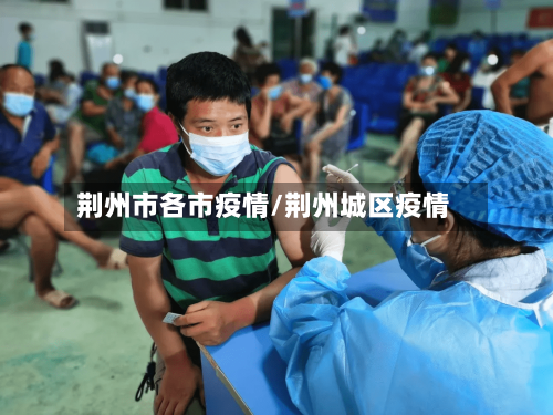 荆州市各市疫情/荆州城区疫情-第2张图片