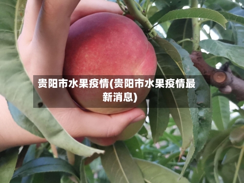 贵阳市水果疫情(贵阳市水果疫情最新消息)-第2张图片