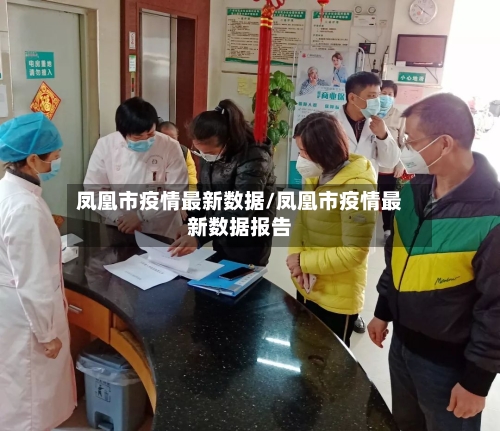 凤凰市疫情最新数据/凤凰市疫情最新数据报告-第2张图片