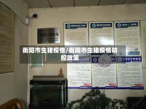 衡阳市生猪疫情/衡阳市生猪疫情防控政策