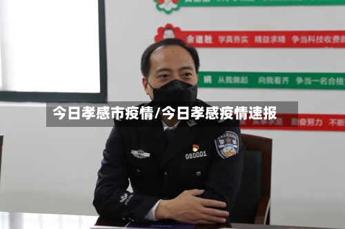 今日孝感市疫情/今日孝感疫情速报-第2张图片